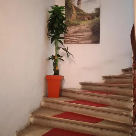 M 5 Apartment